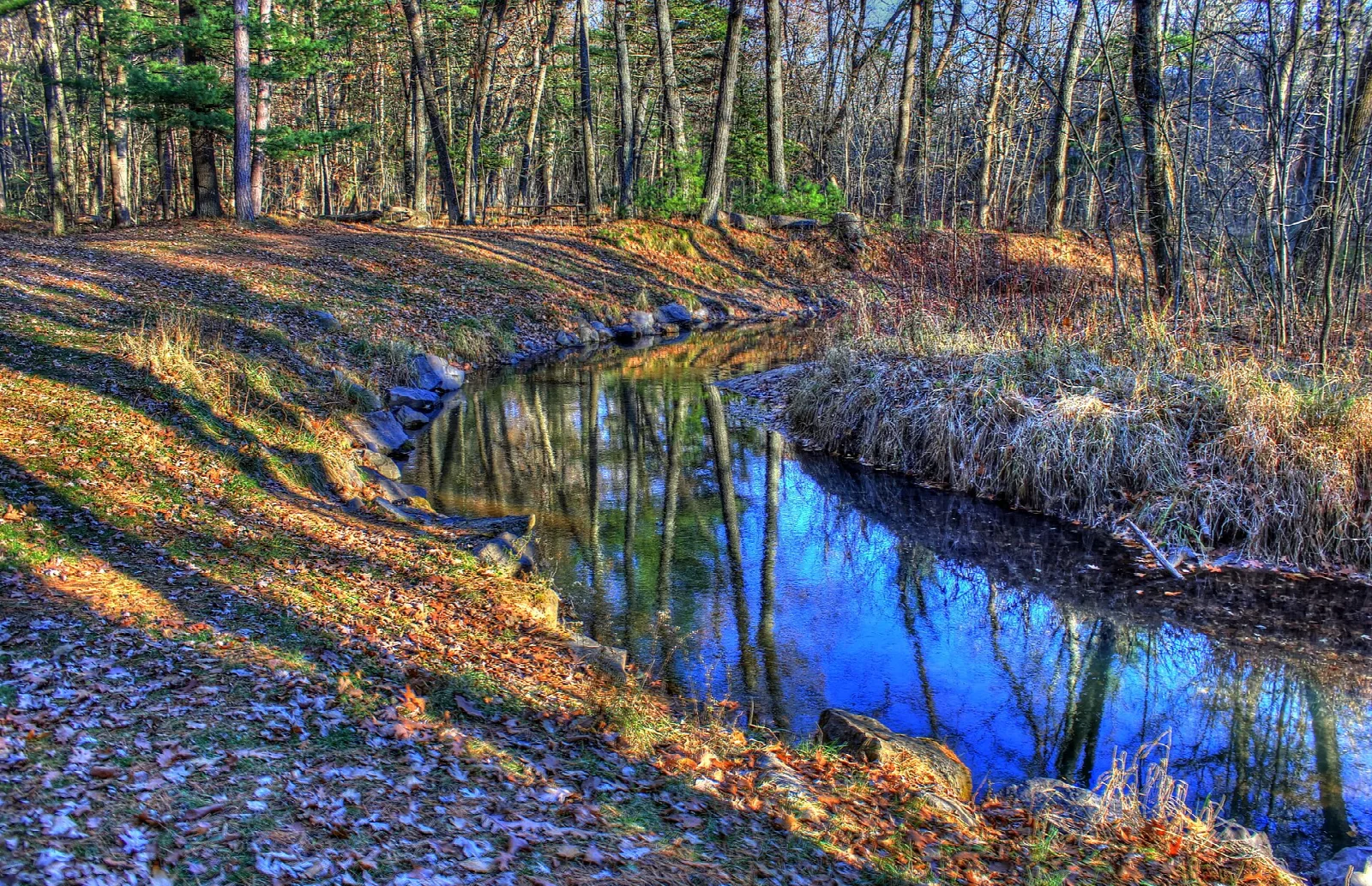 Blue stream bending through a woodland with fallen leaves along the bank