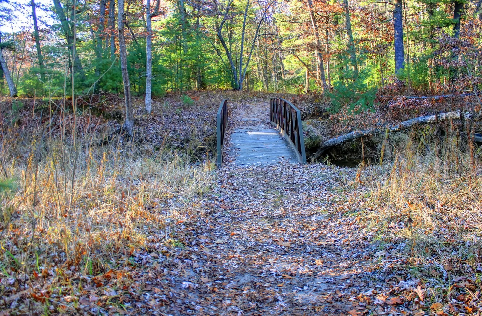 Wooden footbridge over a small creek in a fall forest