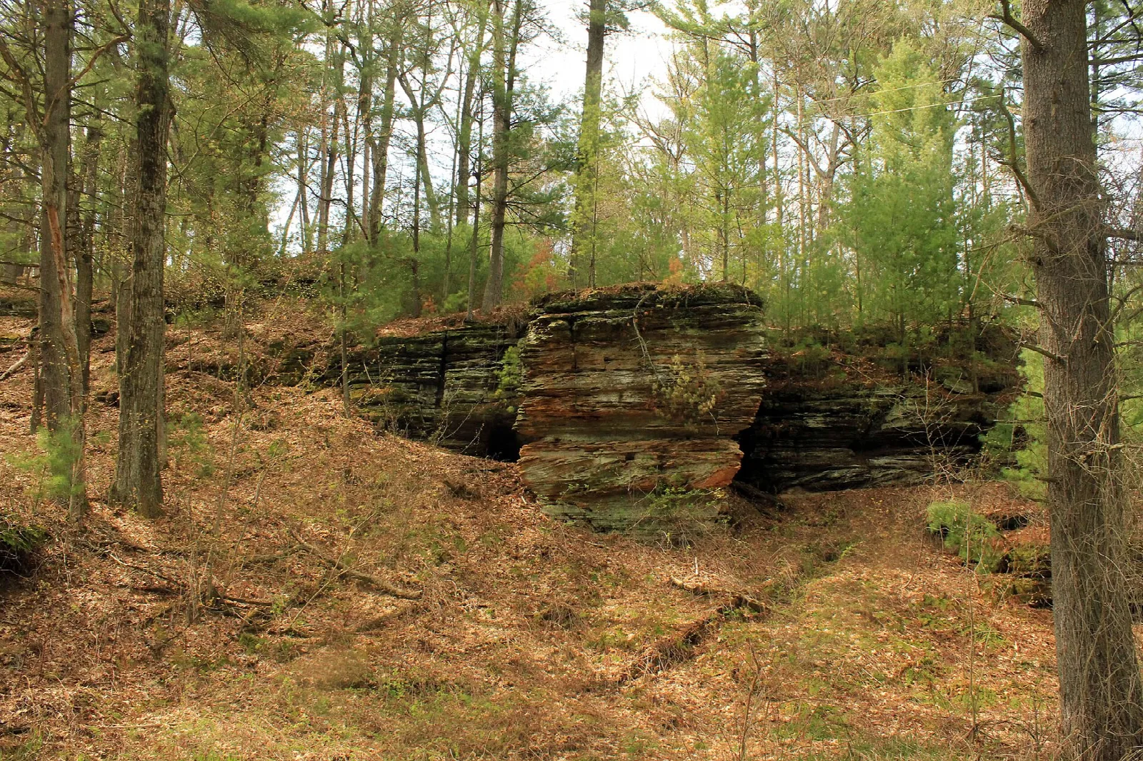 Layered rock ledge on a wooded slope