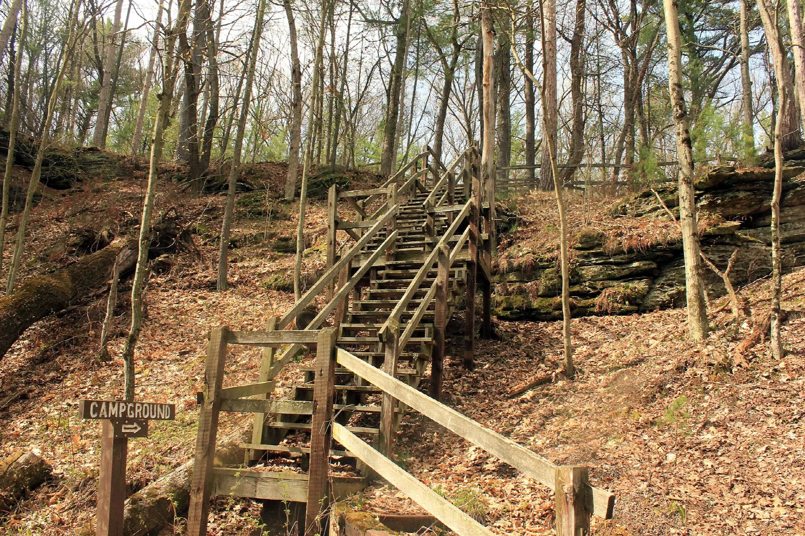 Wooden staircase climbing a wooded hillside