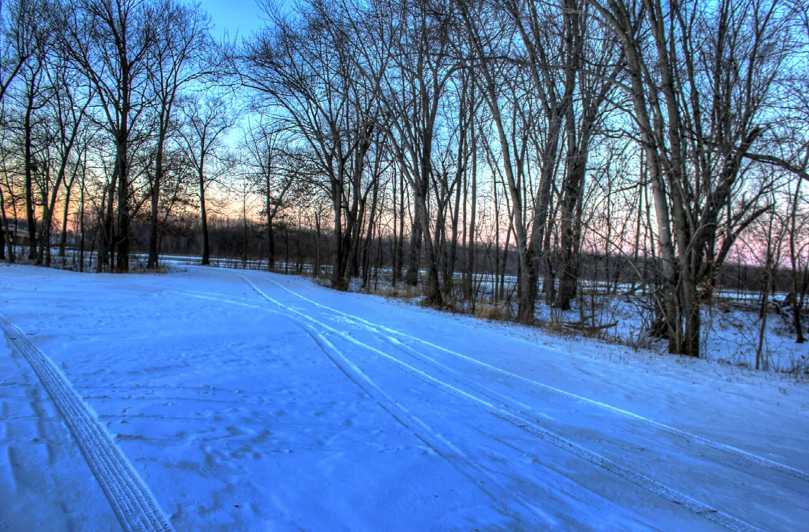 Snowy path and bare trees at sunset