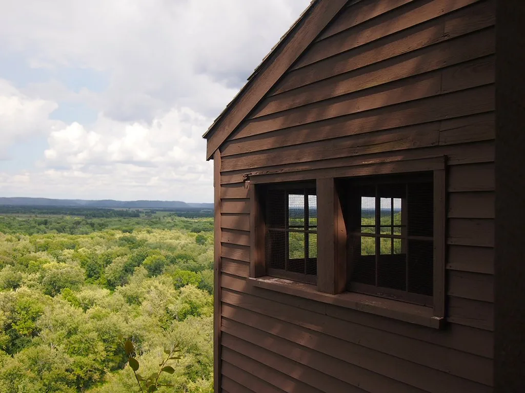 Treetops stretching to the horizon, seen from a window of a wooden tower