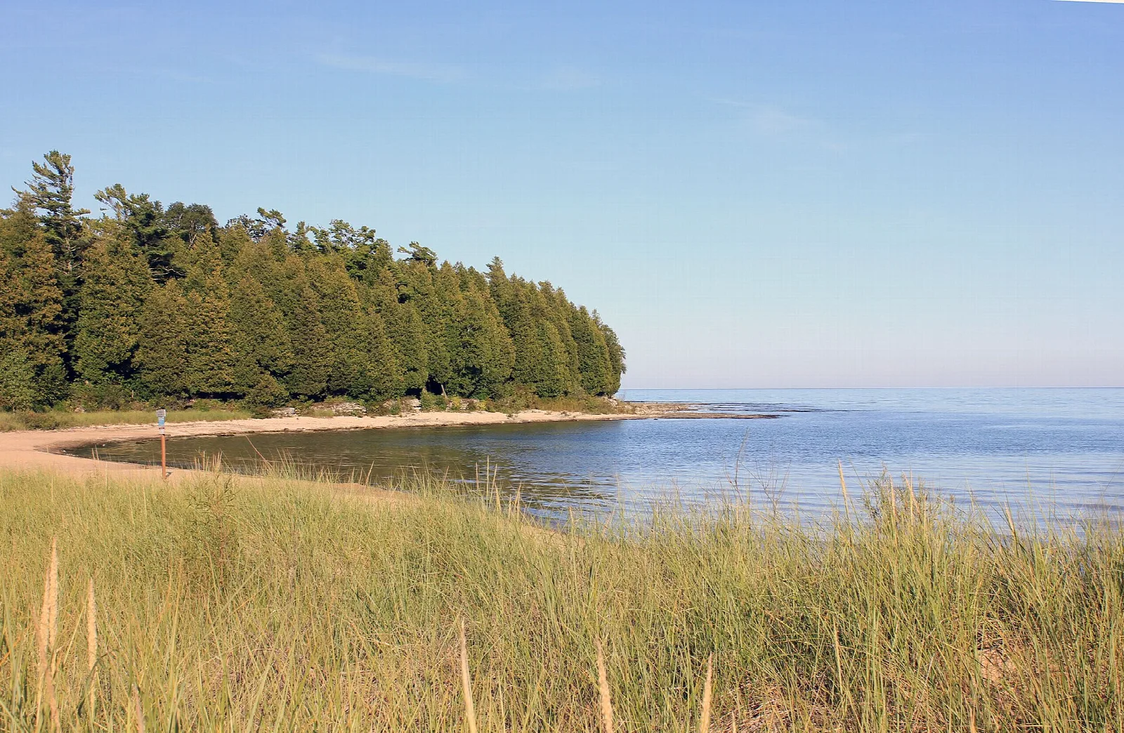 Calm lake bay with a wooded point and dune grass in front