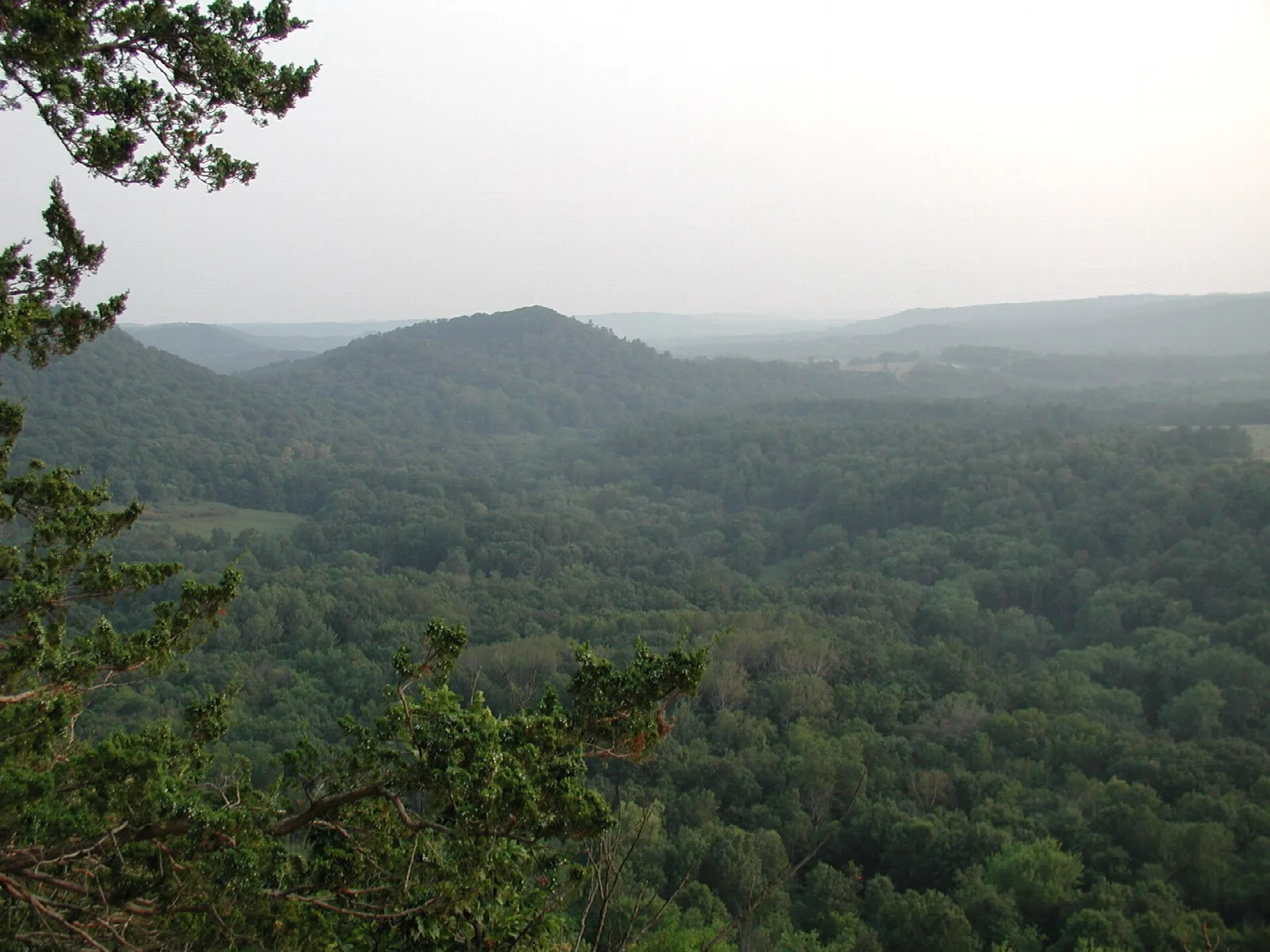 Forested ridges and valleys fading into haze