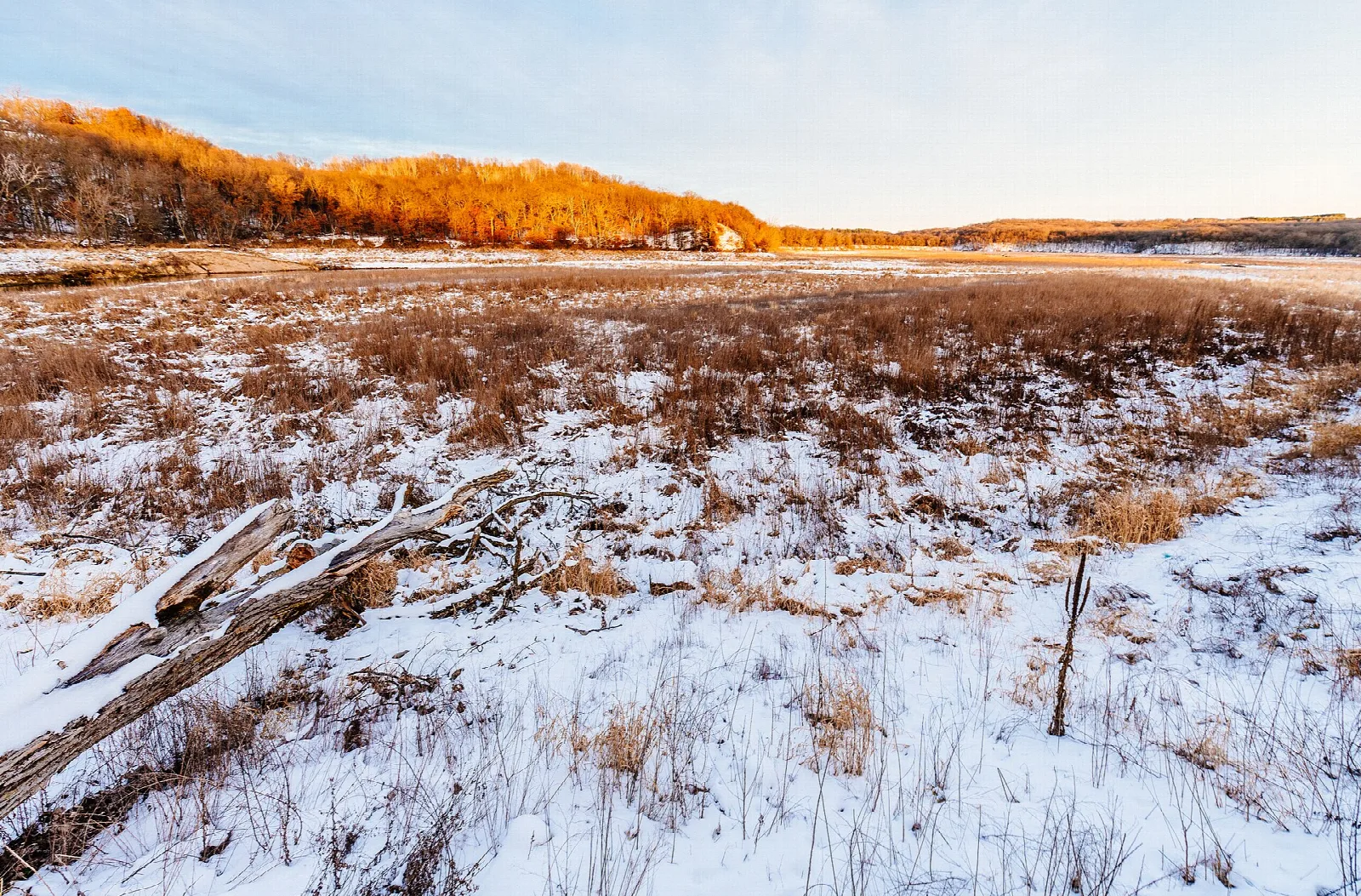 Snowy shoreline and golden grass at sunset over a lake