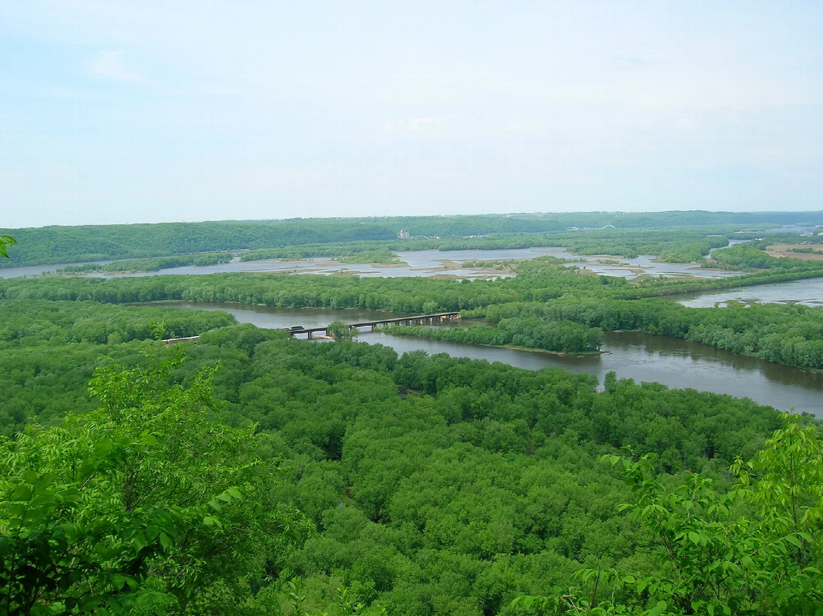 Green river delta with channels and forest seen from a high bluff