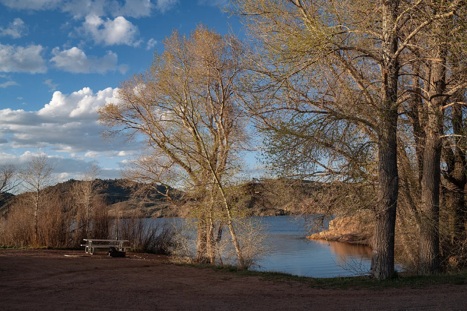 Bare trees on the shore of a calm lake with hills behind