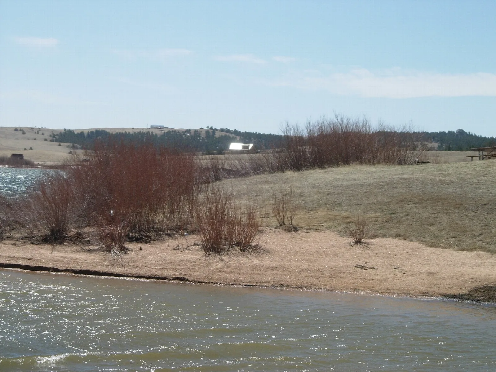 Shallow creek running past a grassy bank
