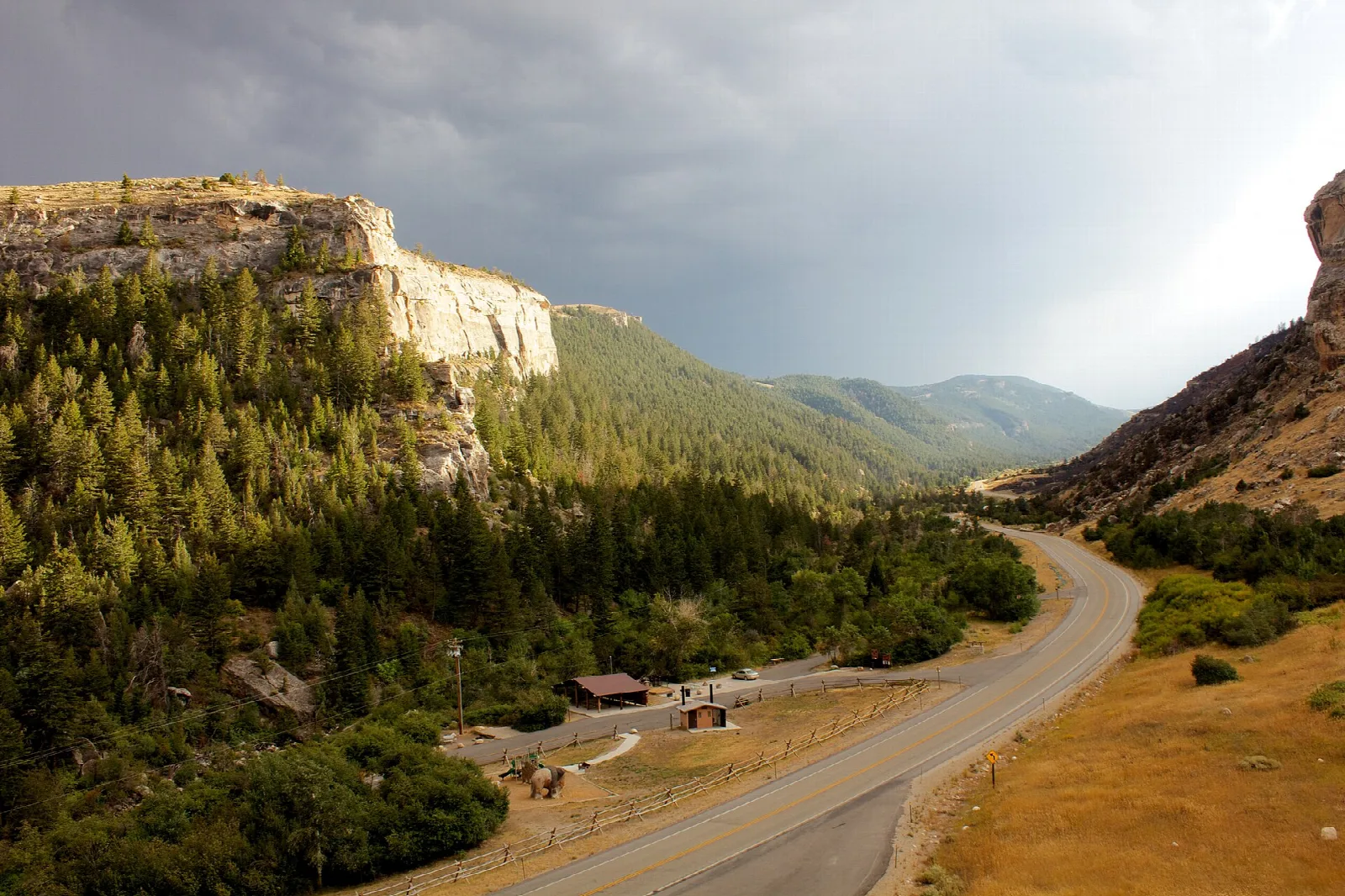 Winding road through a forested canyon below pale cliffs