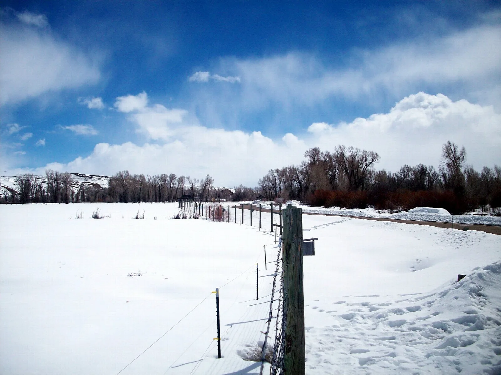 Snowy field with a fence line and bare trees under blue sky