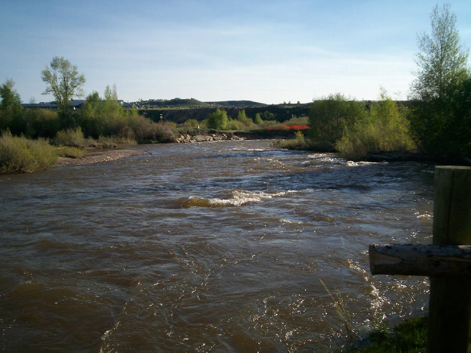 Brown river flowing between green banks and trees