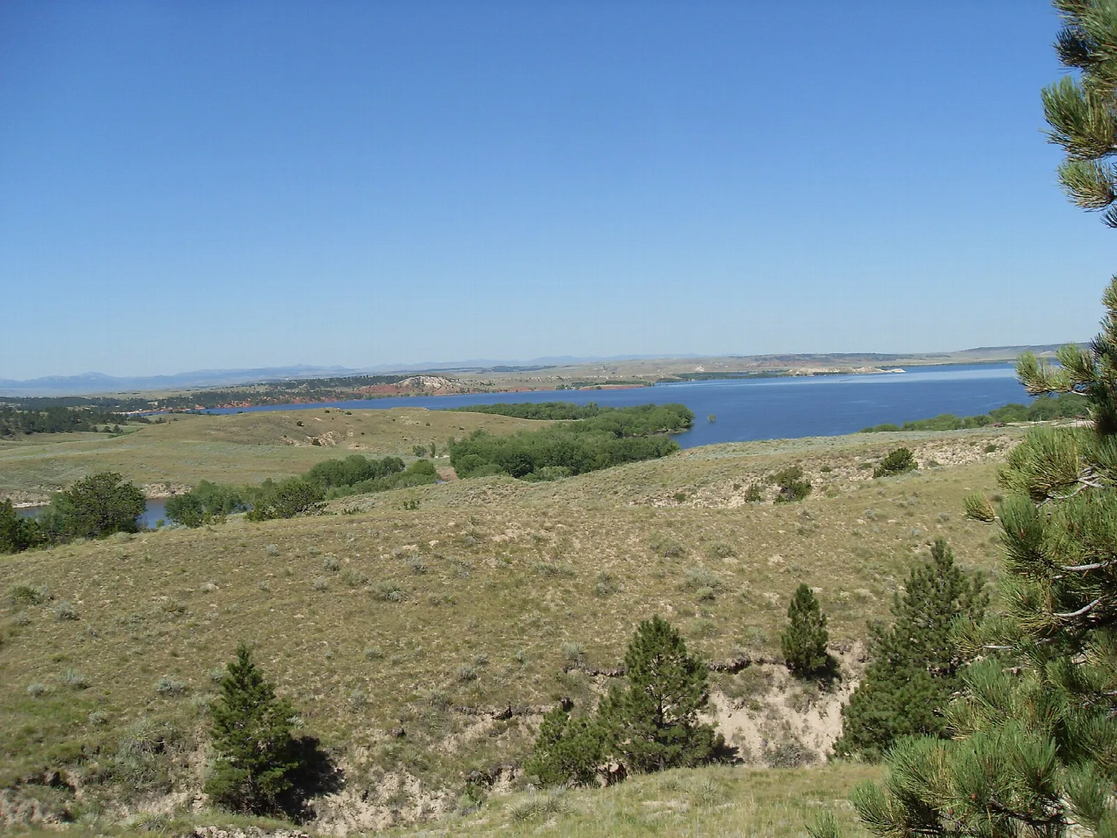 Reservoir seen from a grassy hillside with pine trees