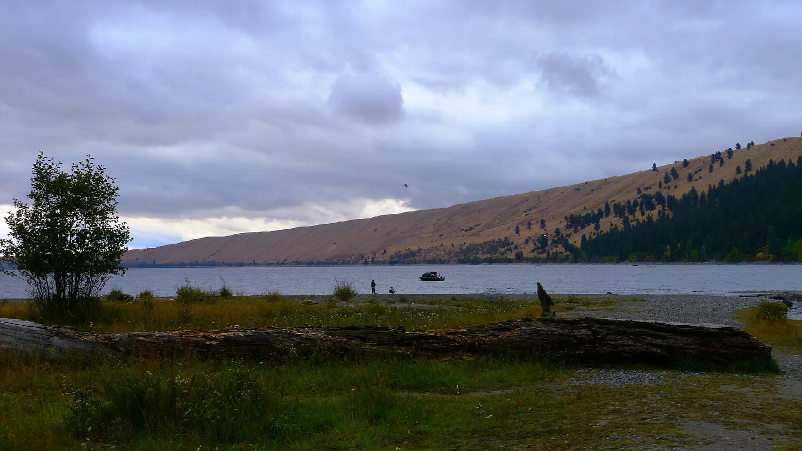 Lake with a long tawny hillside and a tree on the shore under a cloudy sky