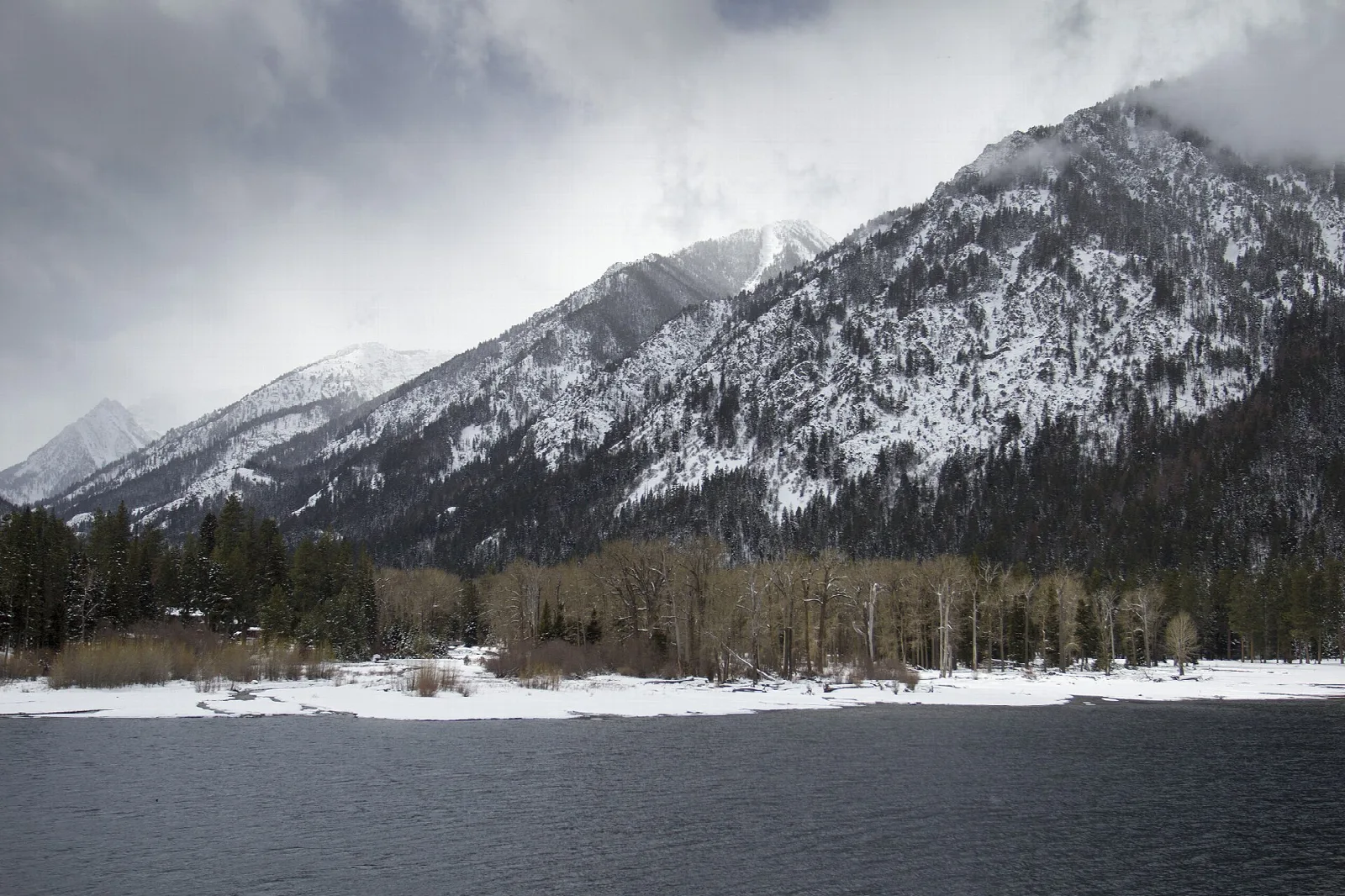 Snowy mountain ridge above a forested lake shore