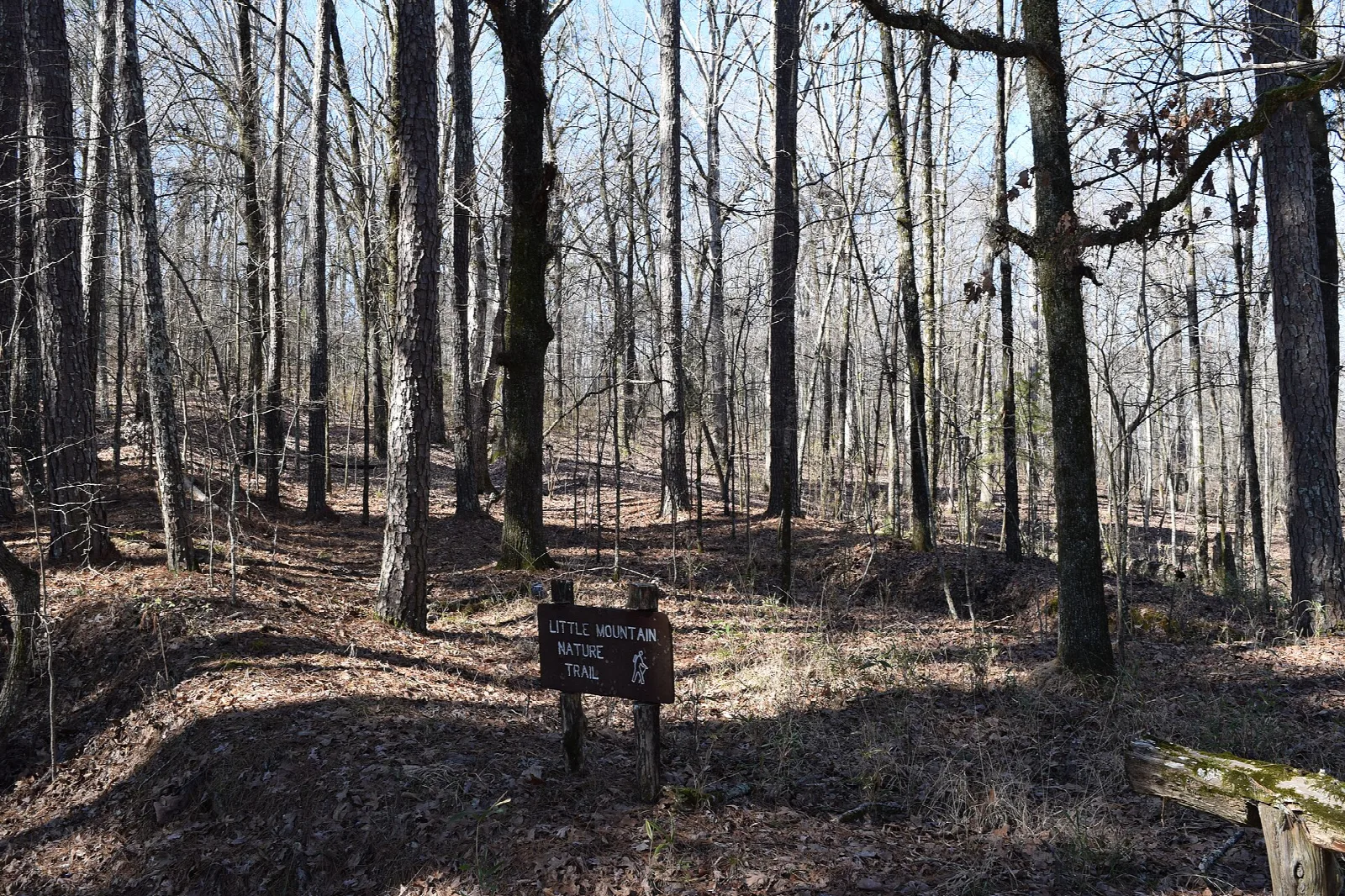 Wooded trailhead with a small sign among bare trees and leaf litter
