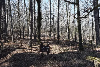 Hugh White State Park
