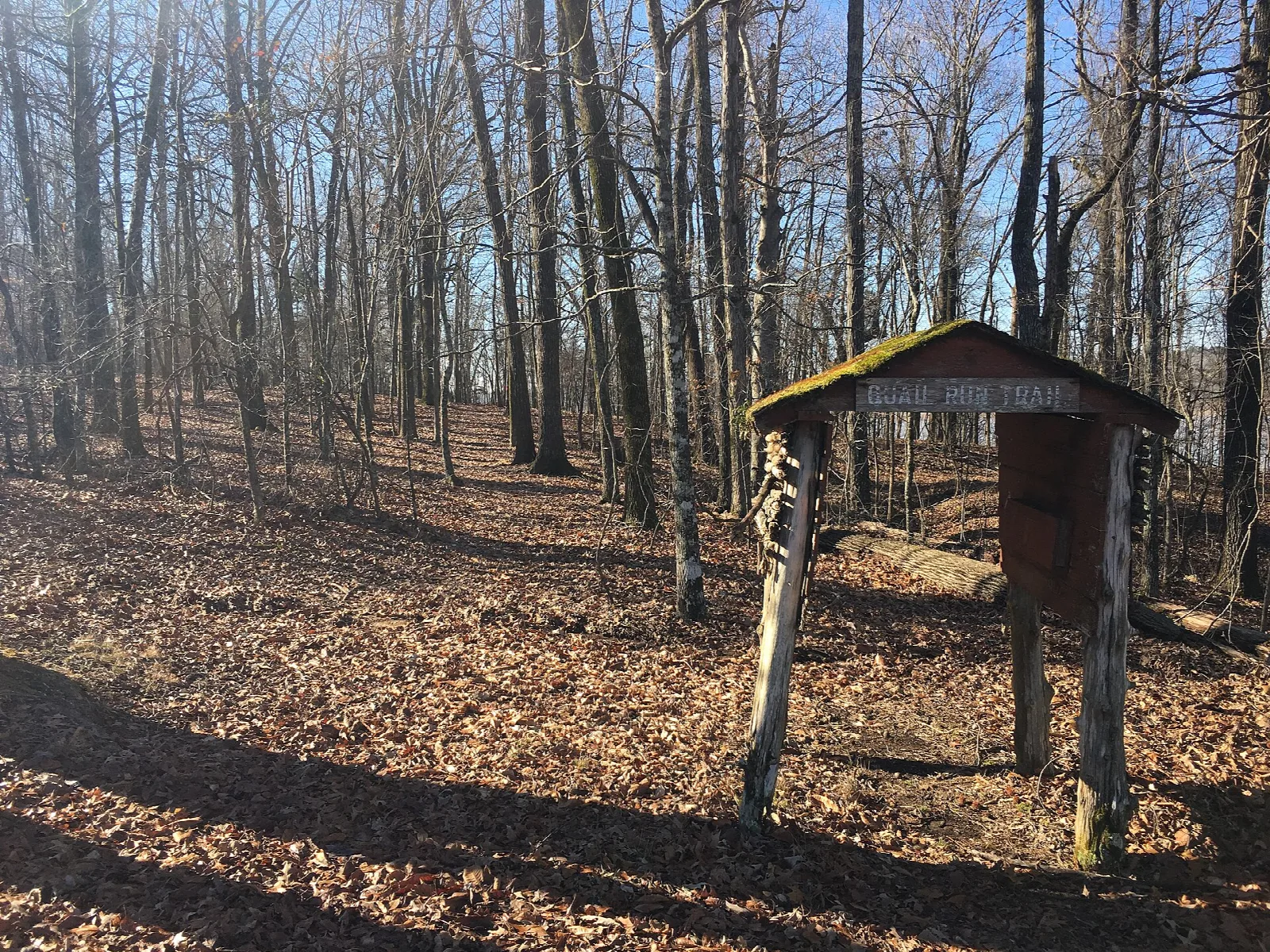 Small roofed wooden trail sign among bare trees and fallen leaves