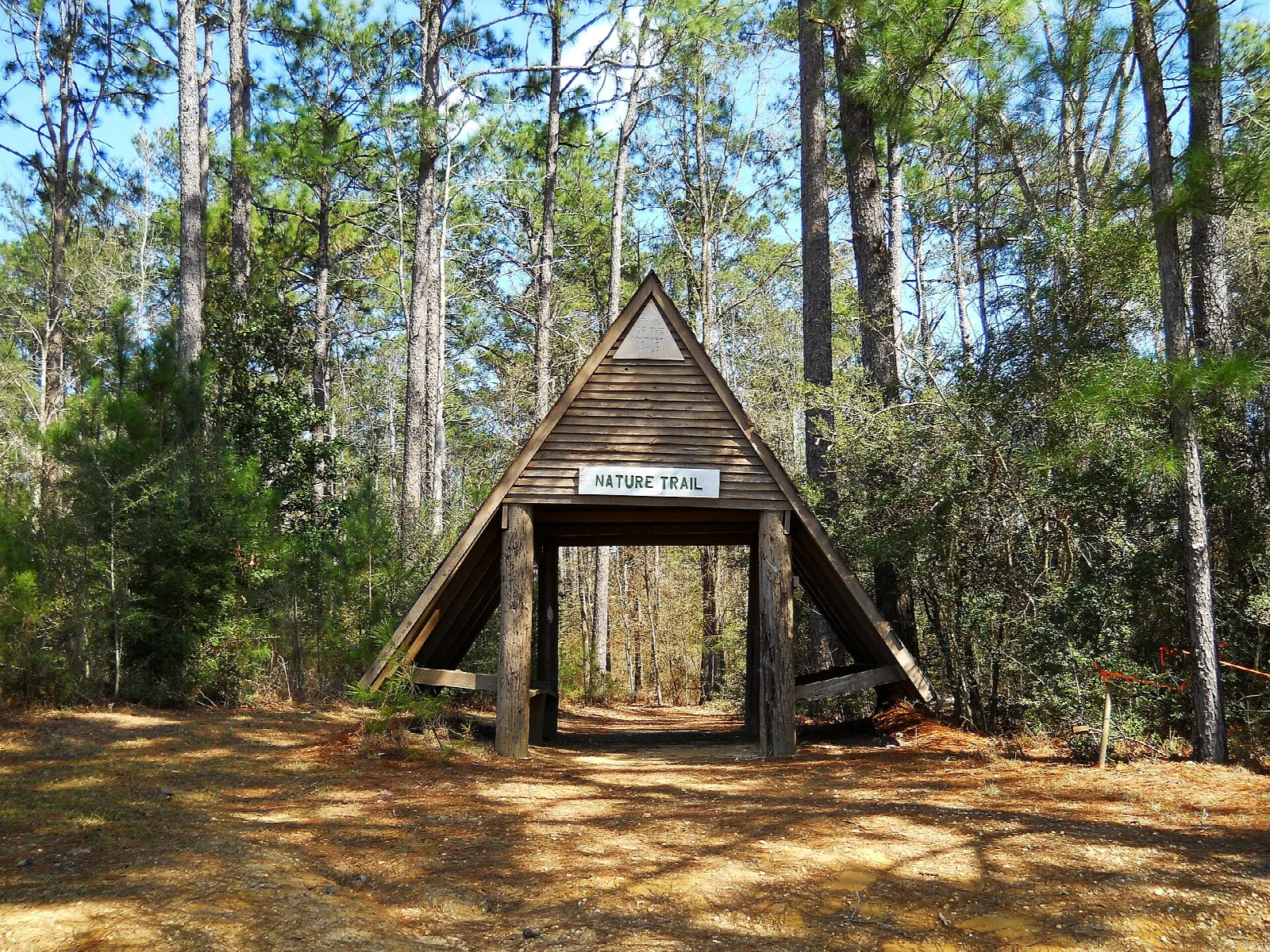 A-frame wooden trail entrance in a pine forest