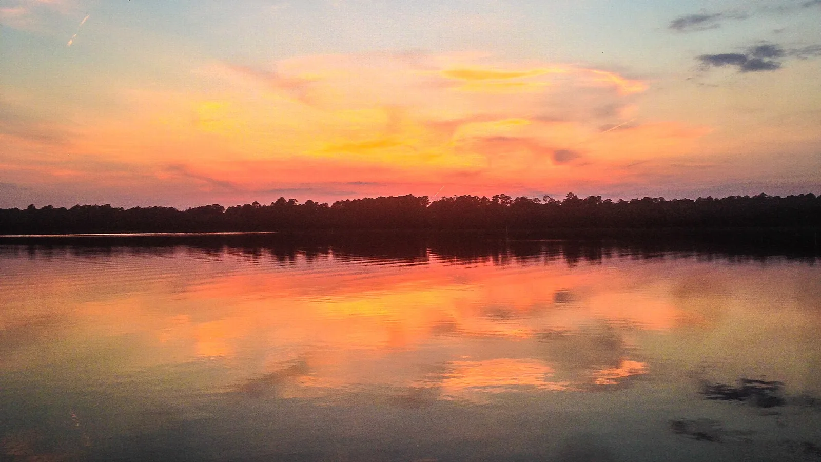 Orange and pink sunset reflected on a calm lake with a dark tree line