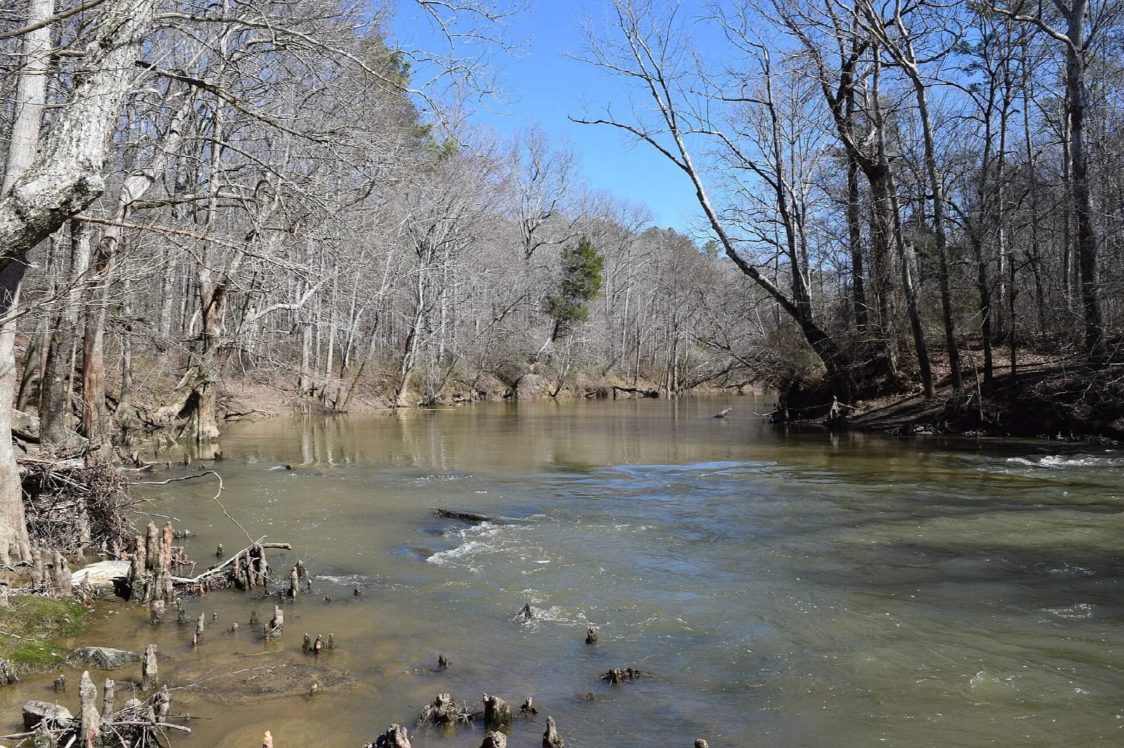 Wide creek flowing between bare winter trees on the banks