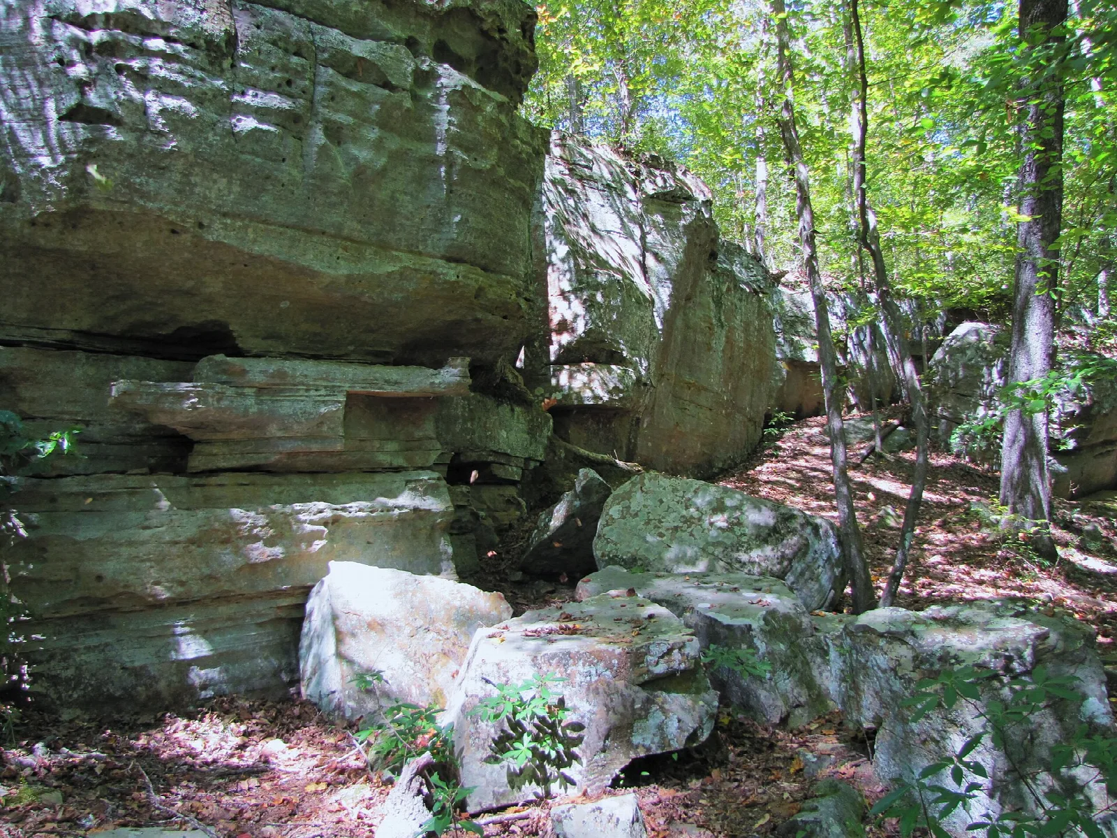 Layered sandstone rock outcroppings with green trees and boulders on the ground