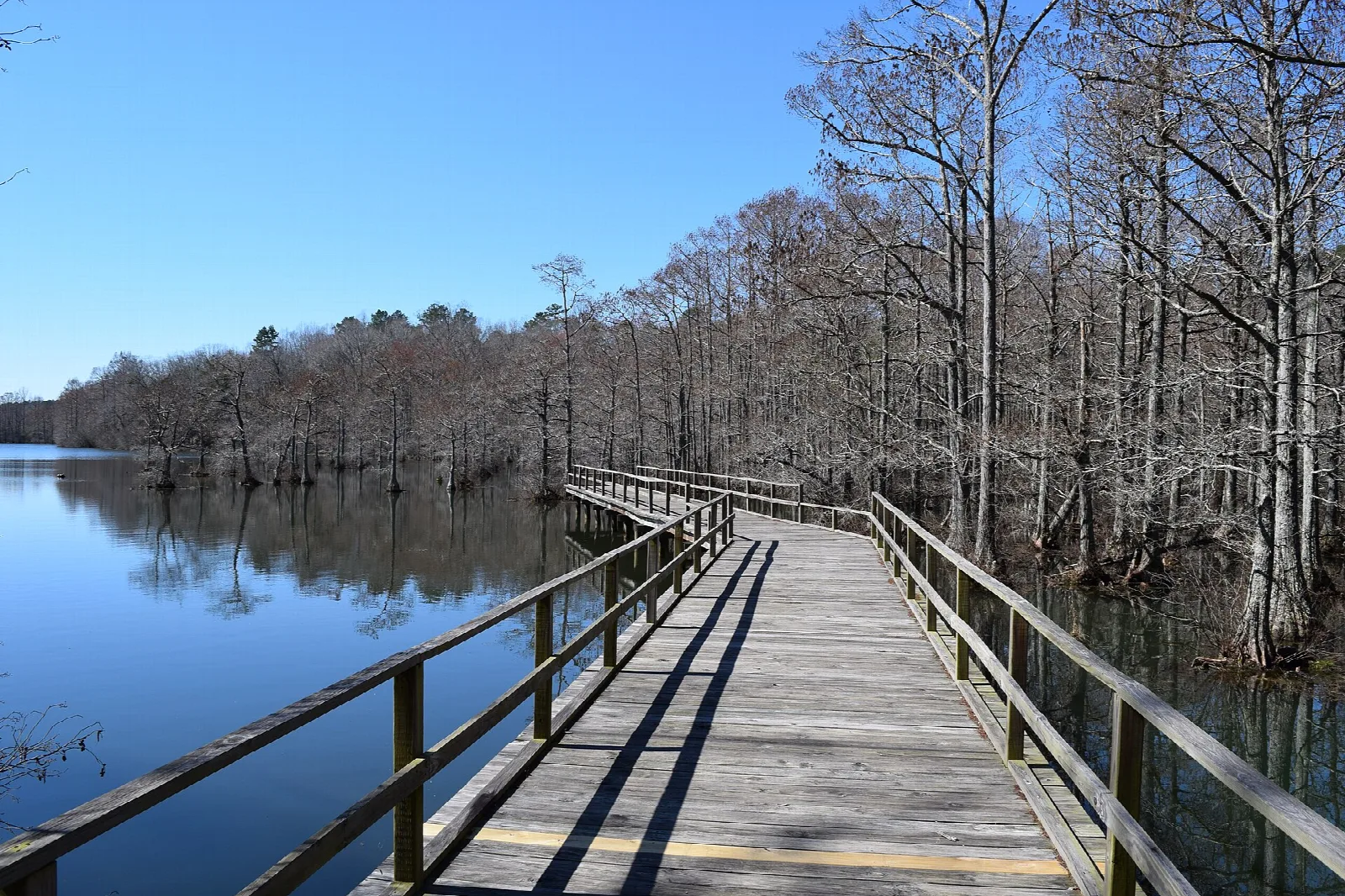 Wooden fishing pier with railings extending over a calm lake
