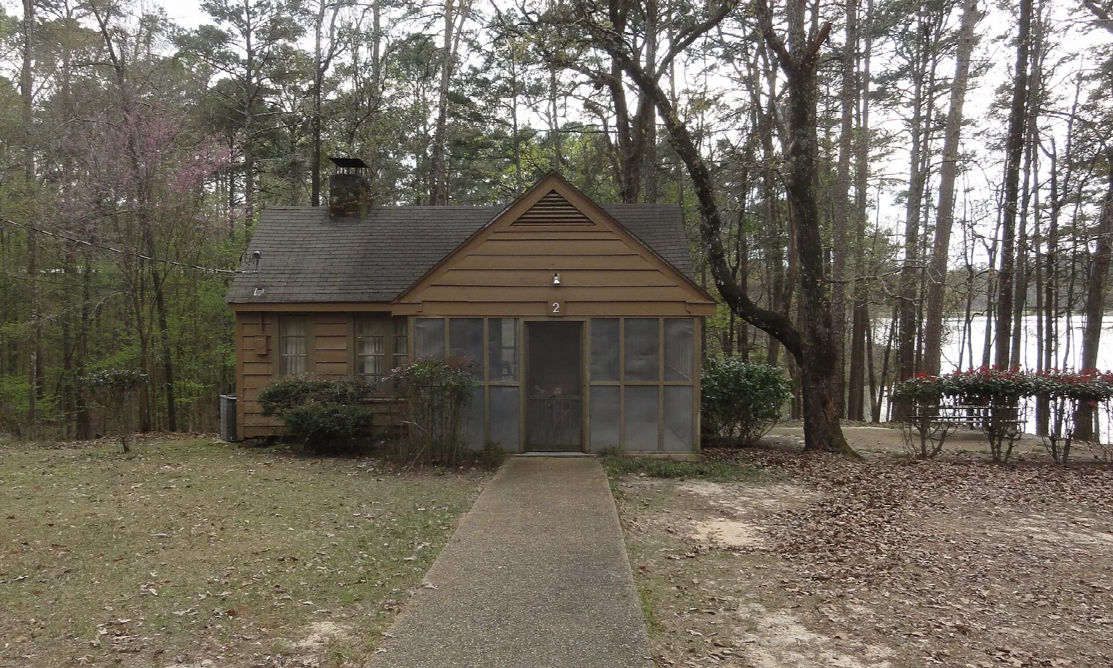 Small wooden cabin with a screened porch among pine trees