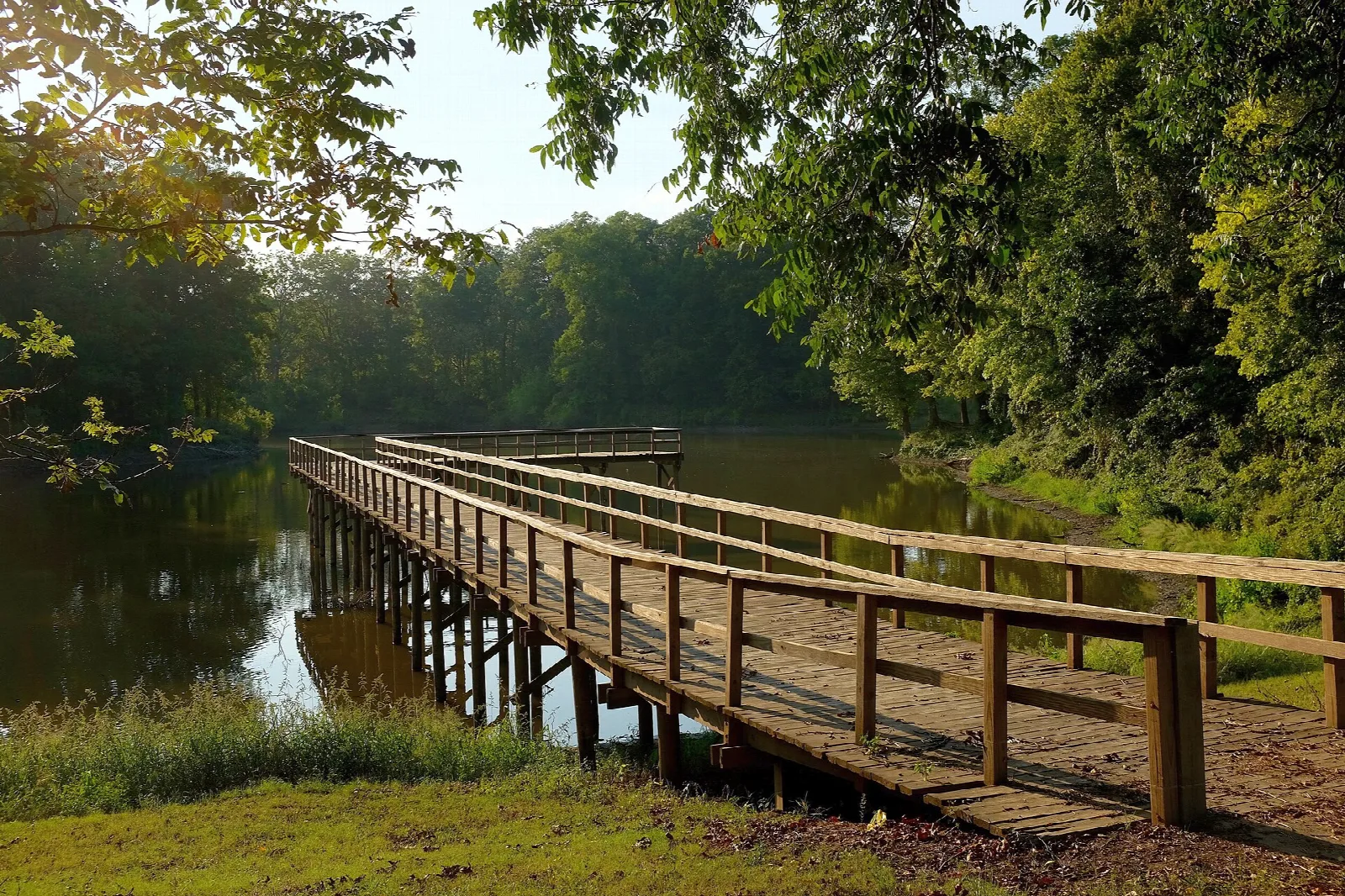 Wooden pier extending into a lake under trees