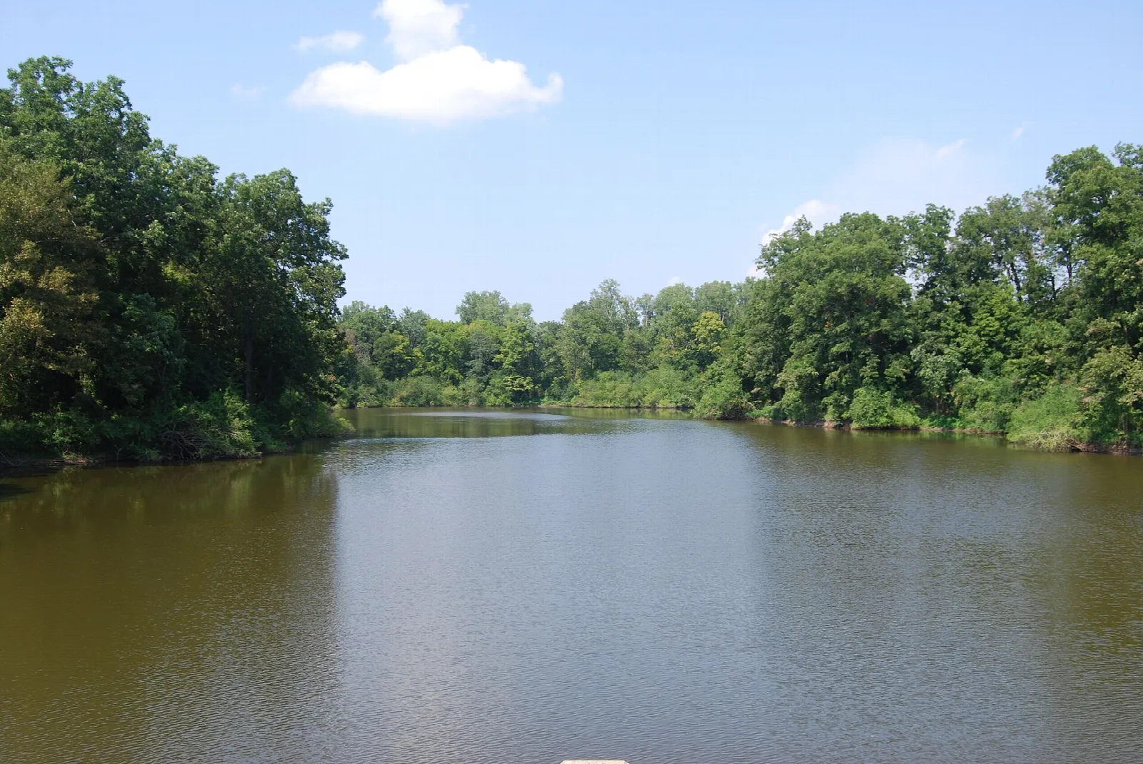 Calm brown lake with green trees along the far shore
