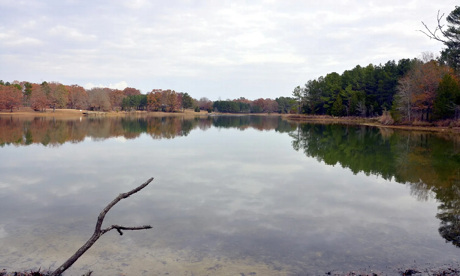 Calm lake with a wooded shoreline under a cloudy sky