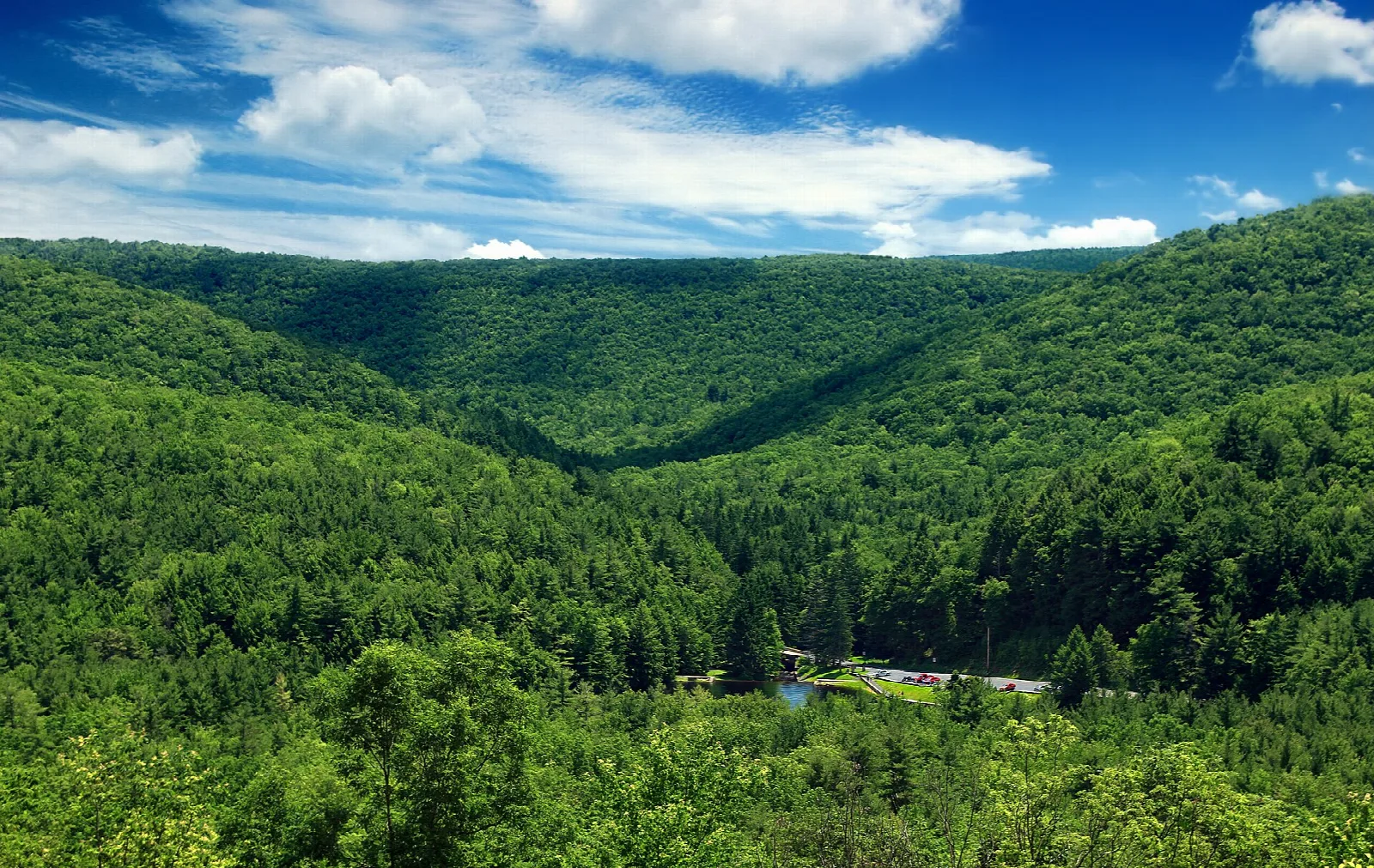 Forested ridges folding into a green valley under blue sky