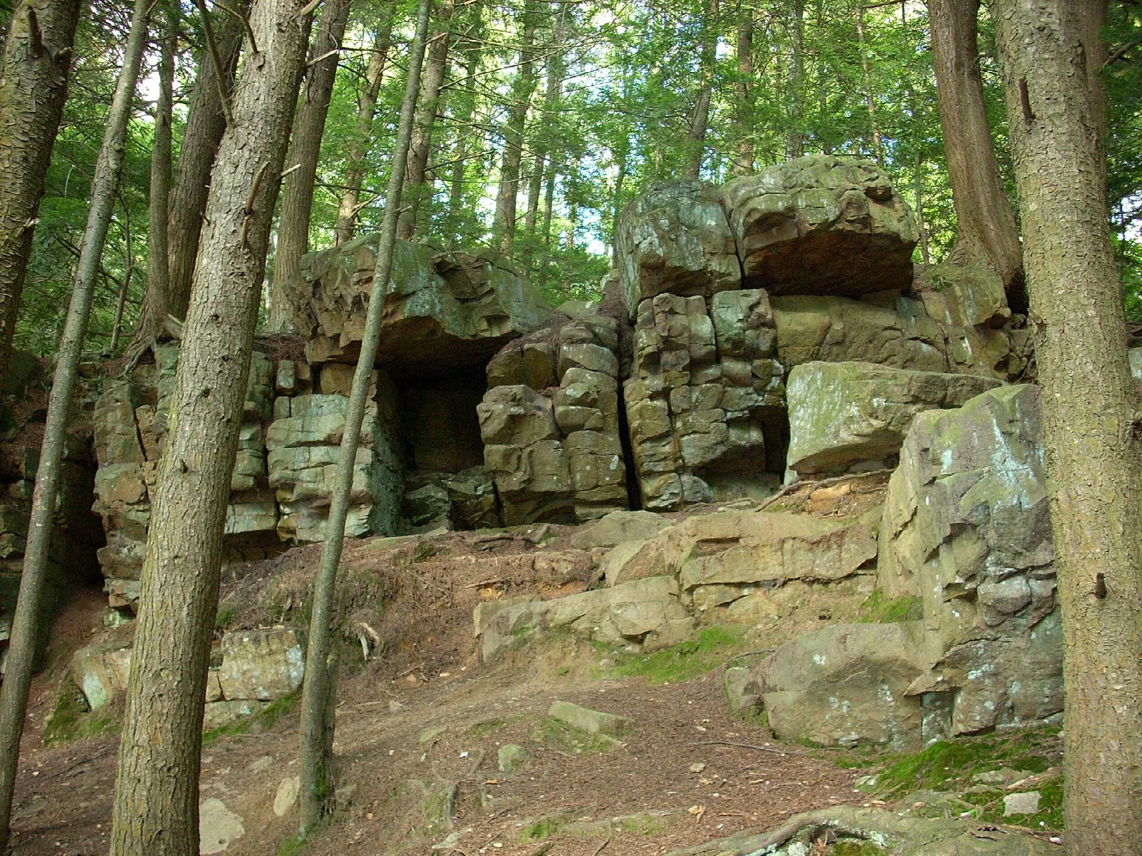 Sandstone rock formation among trees