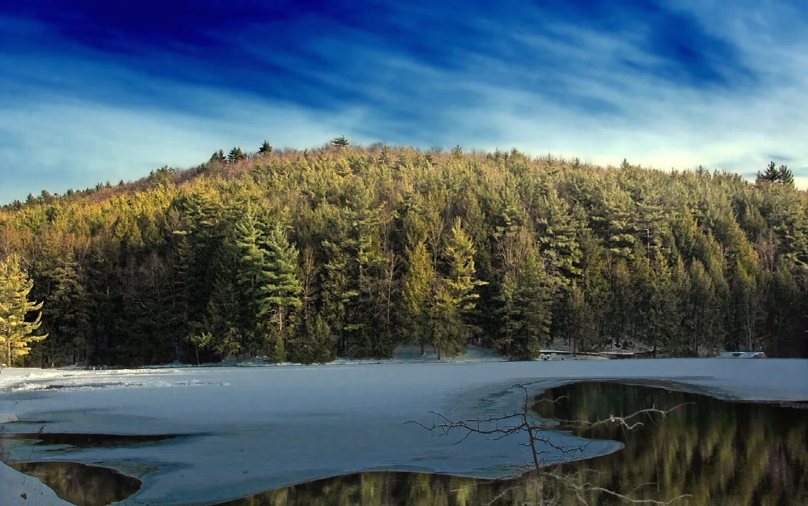Autumn-colored pine forest above a partly frozen lake