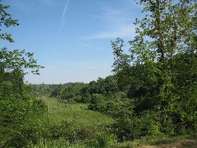 Hillman State Park