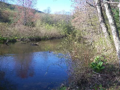 Pine Grove Furnace State Park