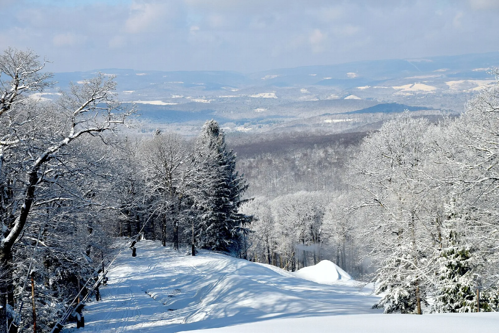 Snow-covered pines on a ridge with a hazy valley beyond under a blue sky
