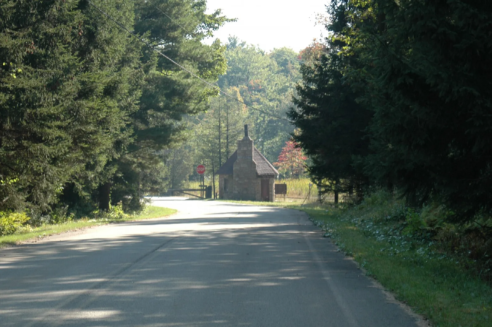 Paved road between evergreens leading to a stone building