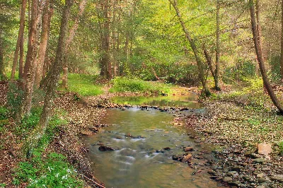 Hyner Run State Park
