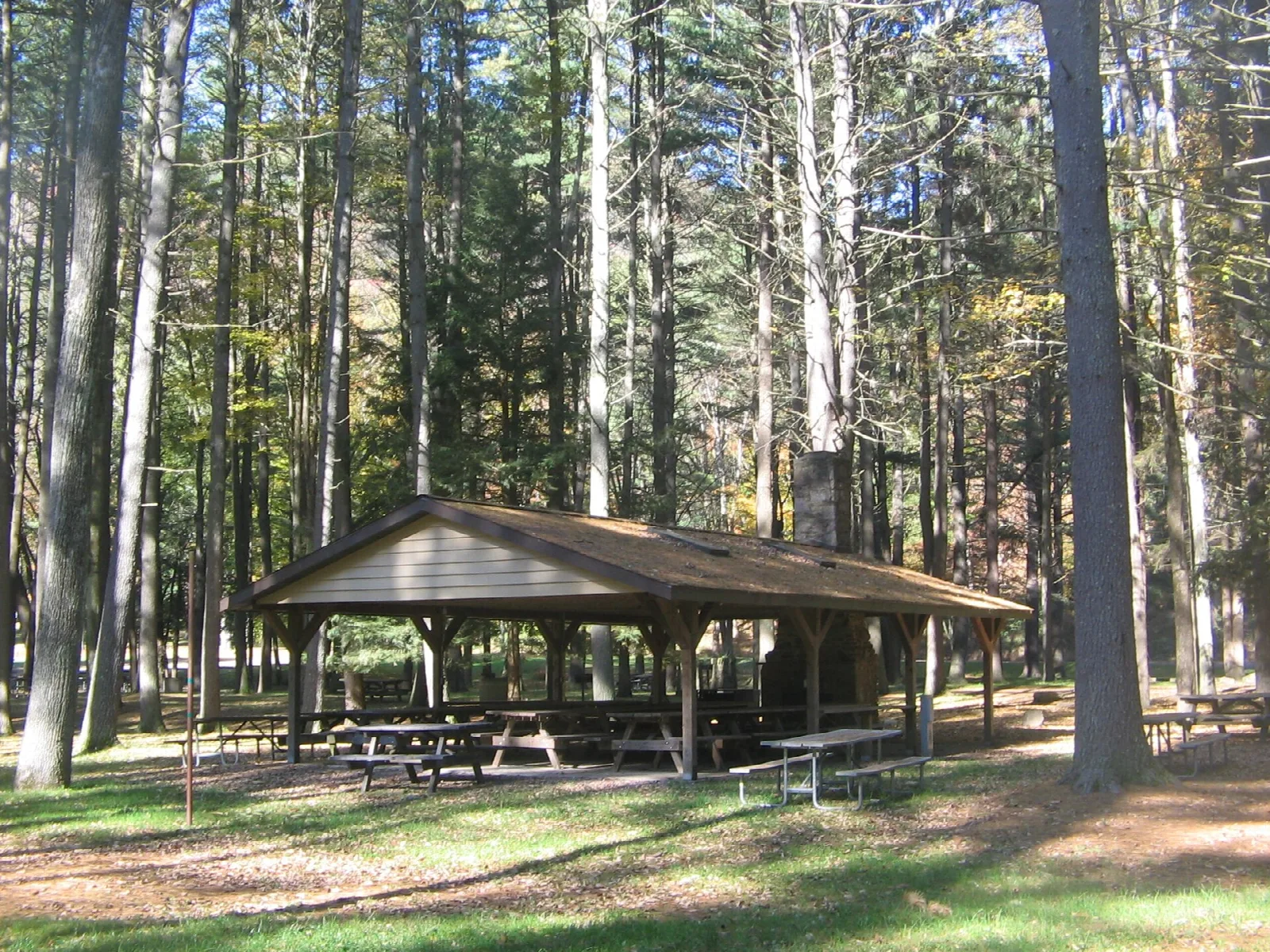 Open picnic shelter in a shaded grove