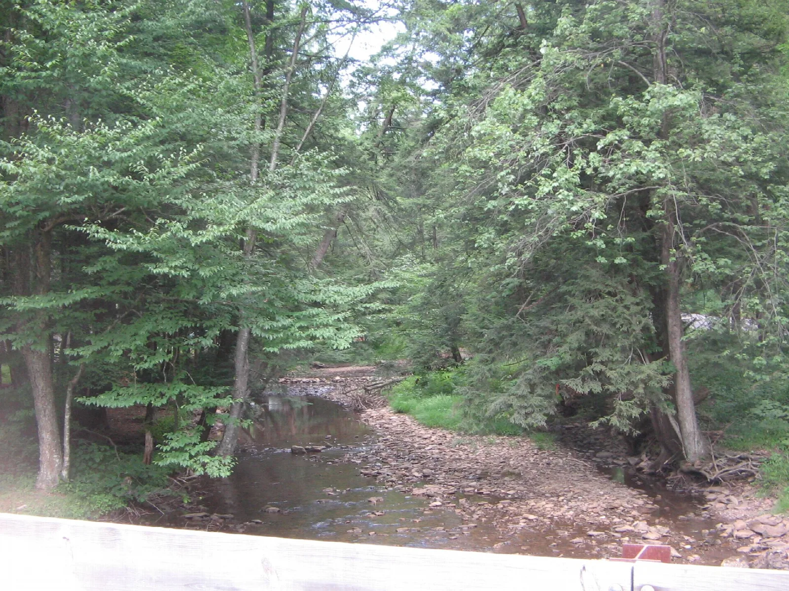 Shallow stream beside a stone bridge wall under trees