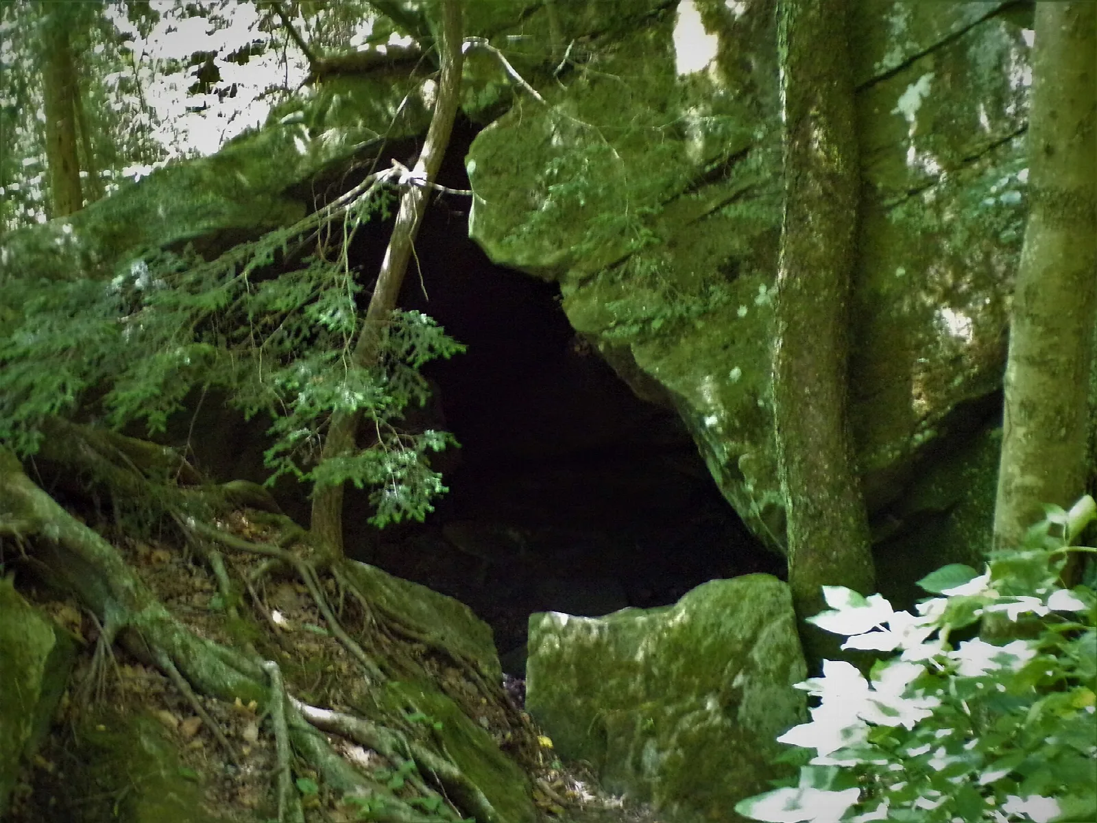 Small cave opening between mossy boulders