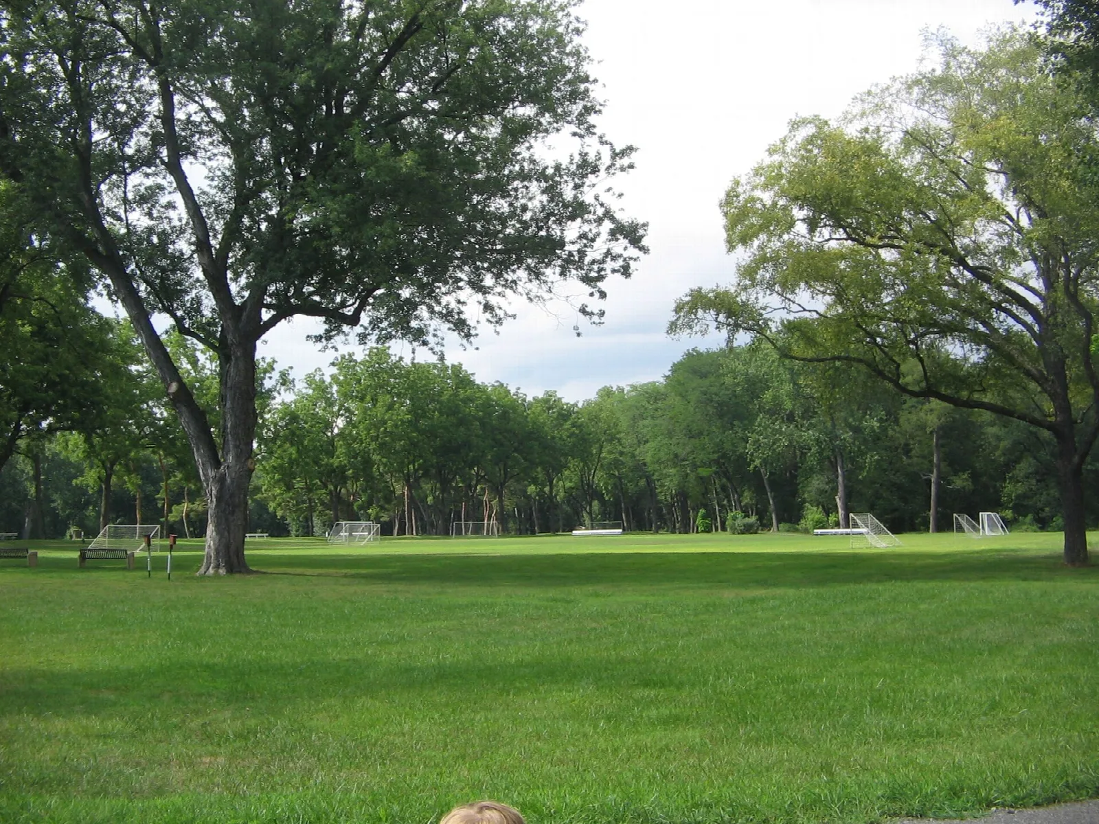 Wide lawn with soccer goals and large shade trees