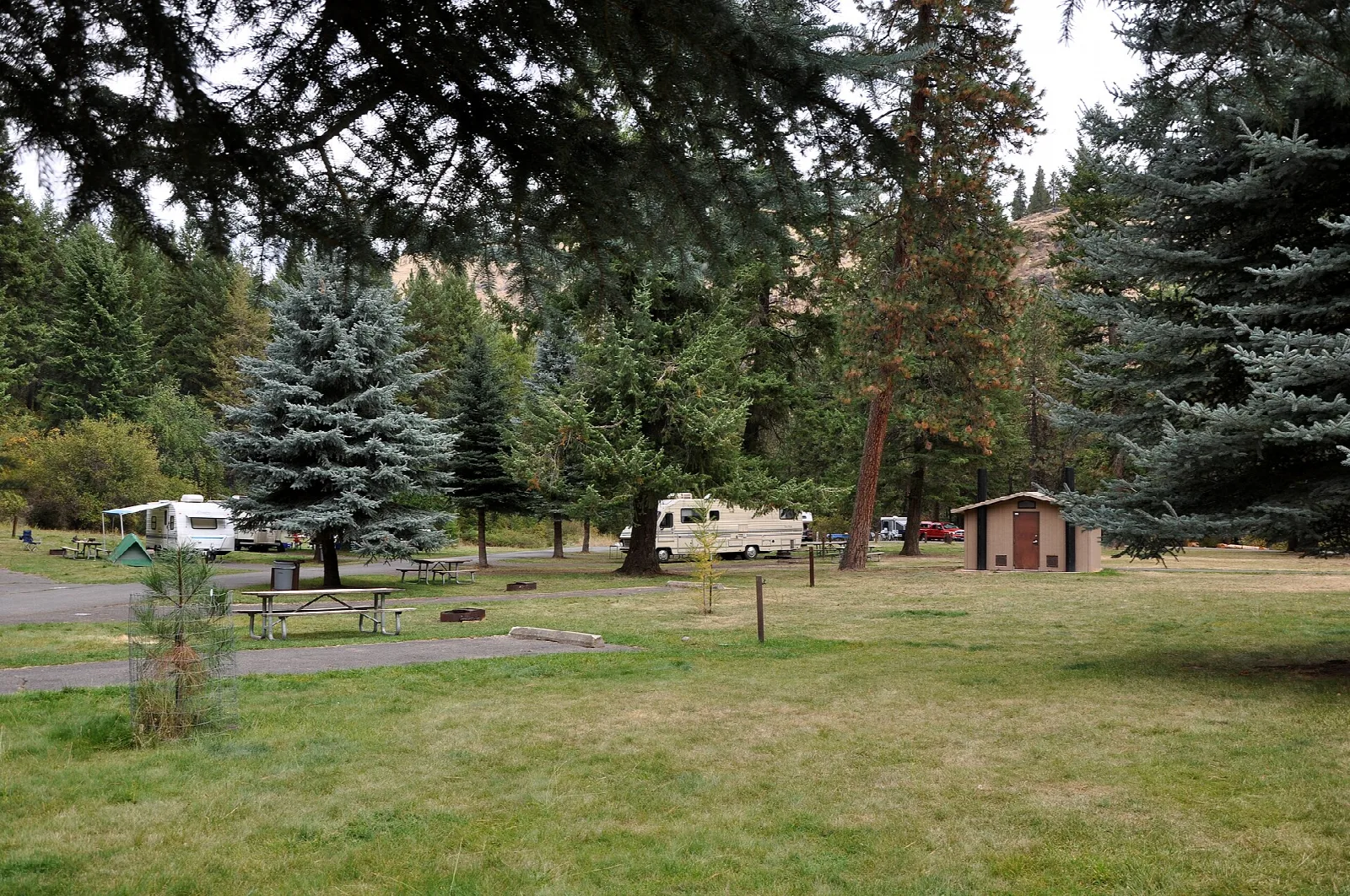 Grassy campground clearing among tall evergreens with a restroom building and a few RVs