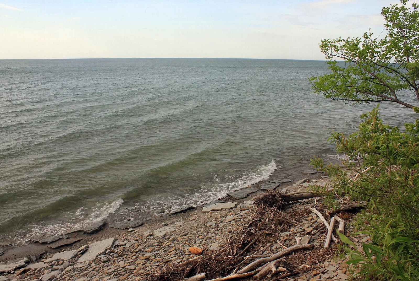 Lake Erie waves on a flat rocky shore with shrubs