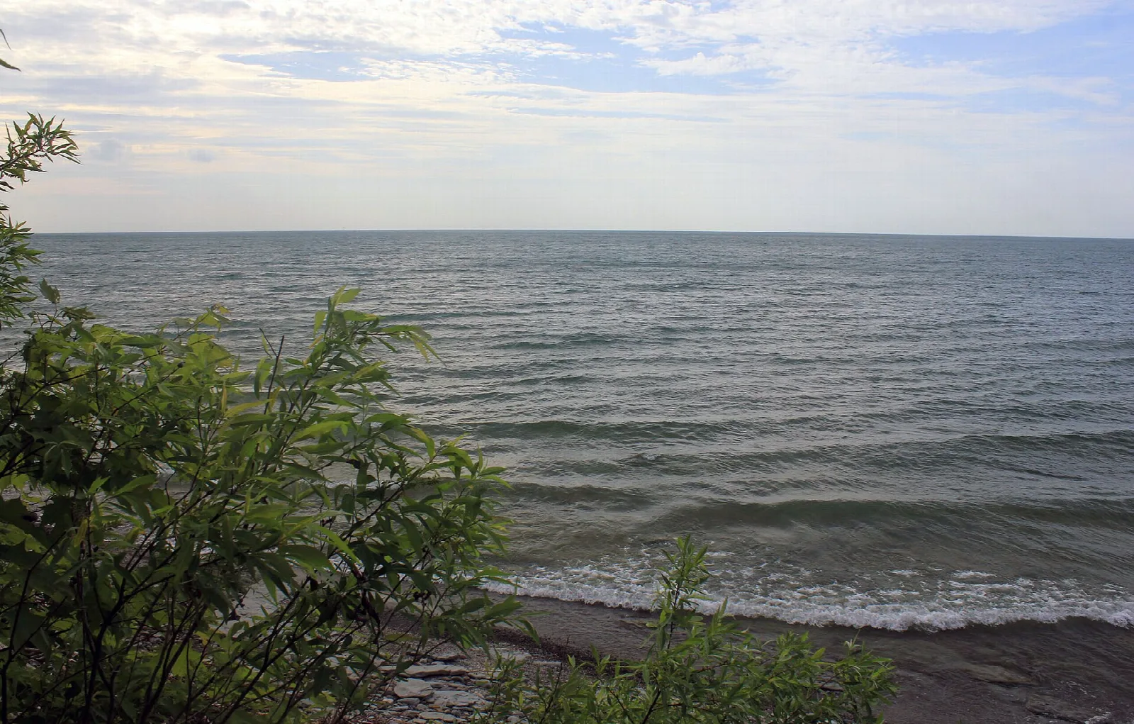 Wide gray lake under a pale sky behind green shrubs