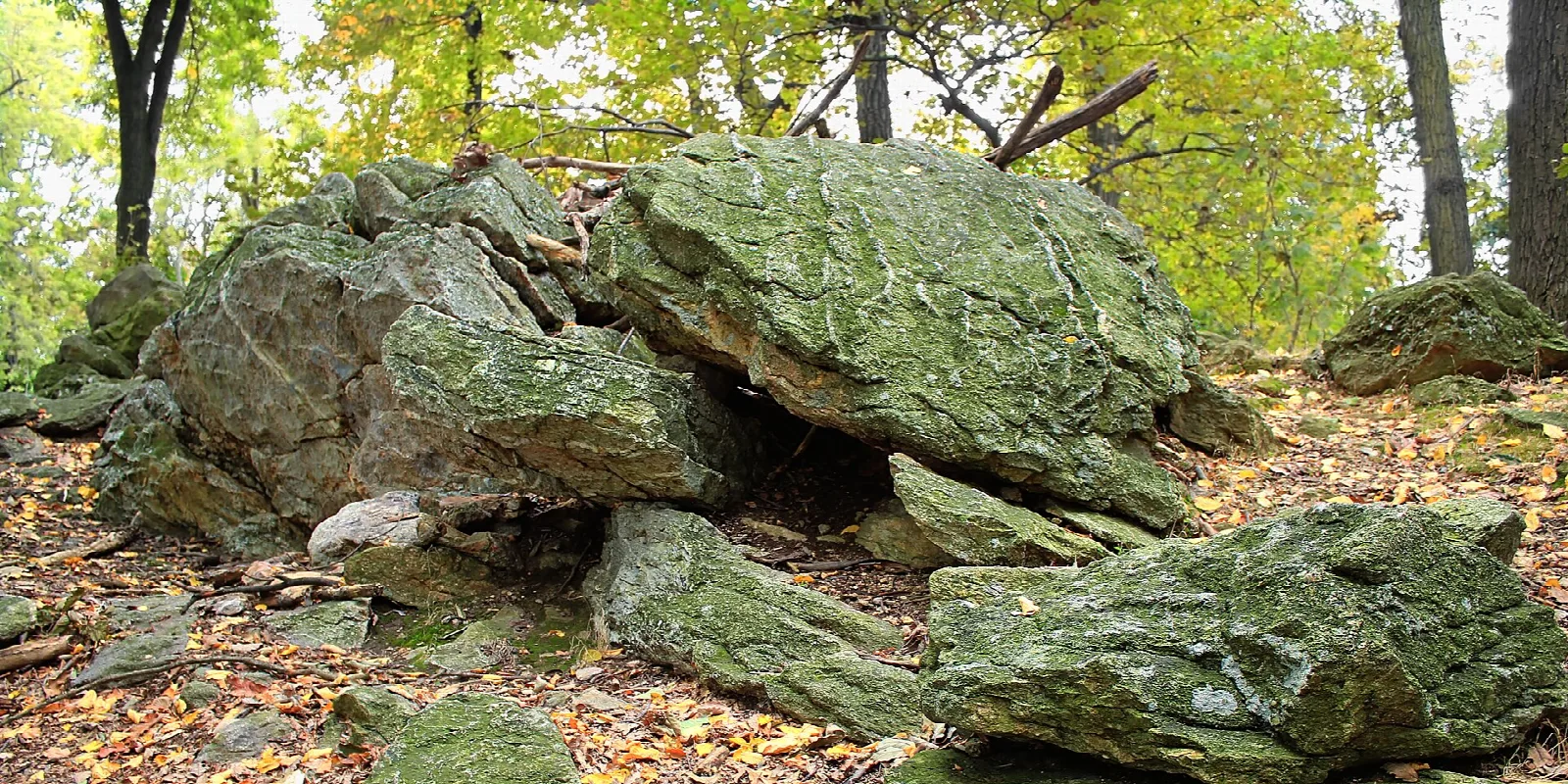 Mossy conglomerate boulders in autumn woods