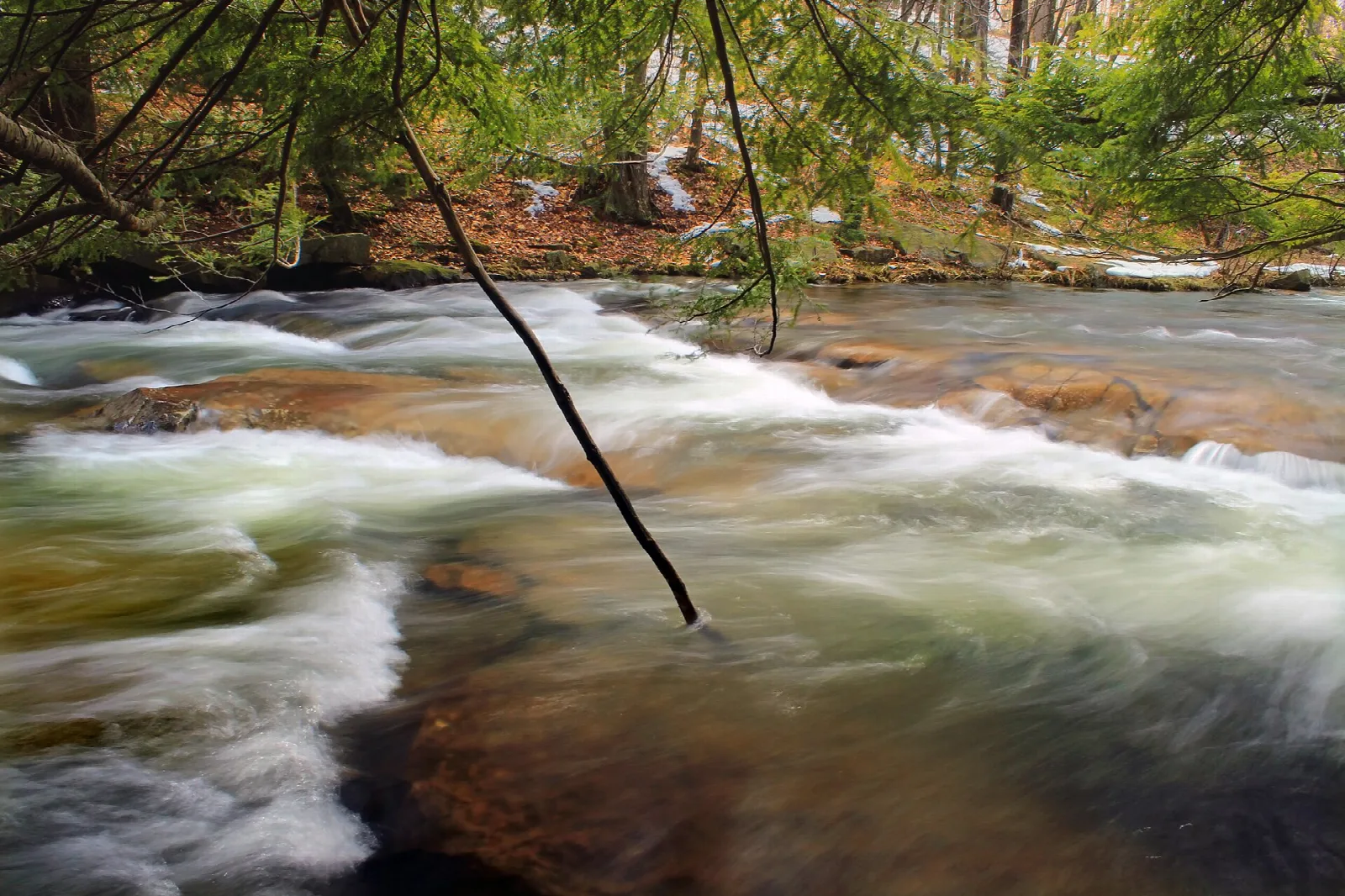 White-water cascades over rocks in a forest stream
