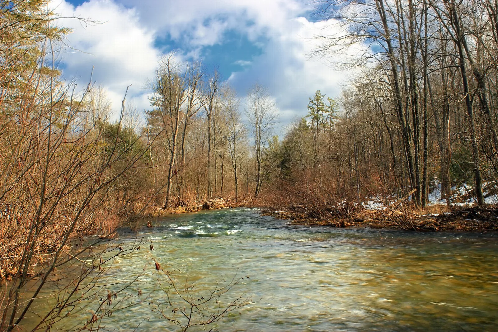 Wide stream running past bare trees under blue sky