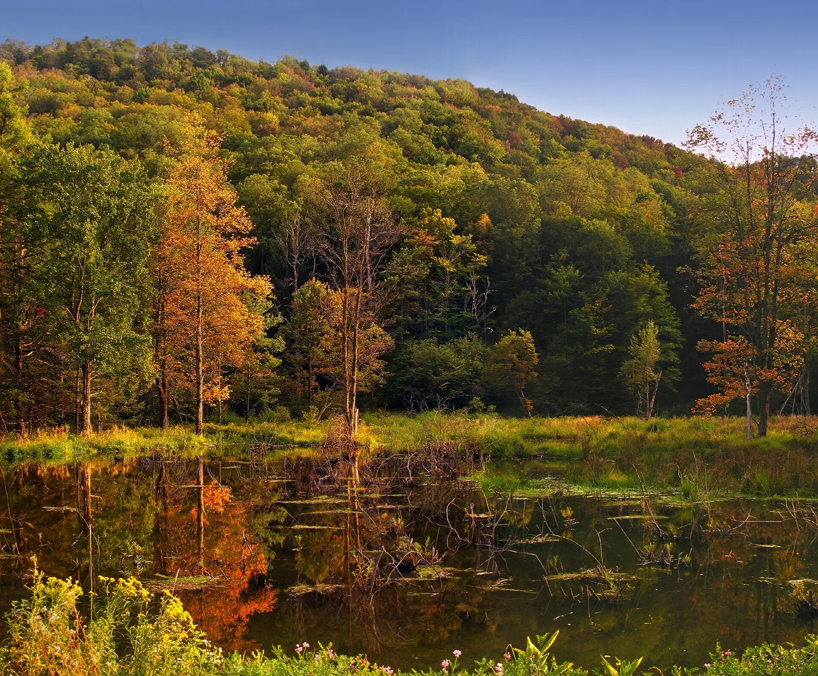 Still lake with autumn-colored trees reflected in the water