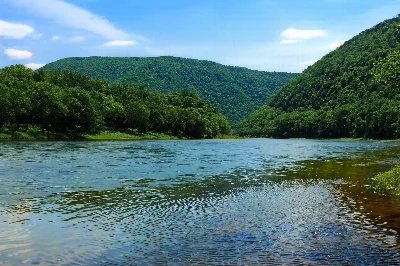 Bucktail State Park Natural Area